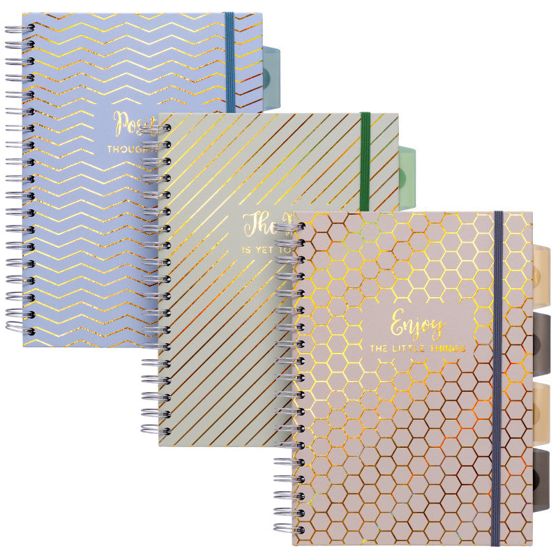 Haze B5 Project Book 3Pk