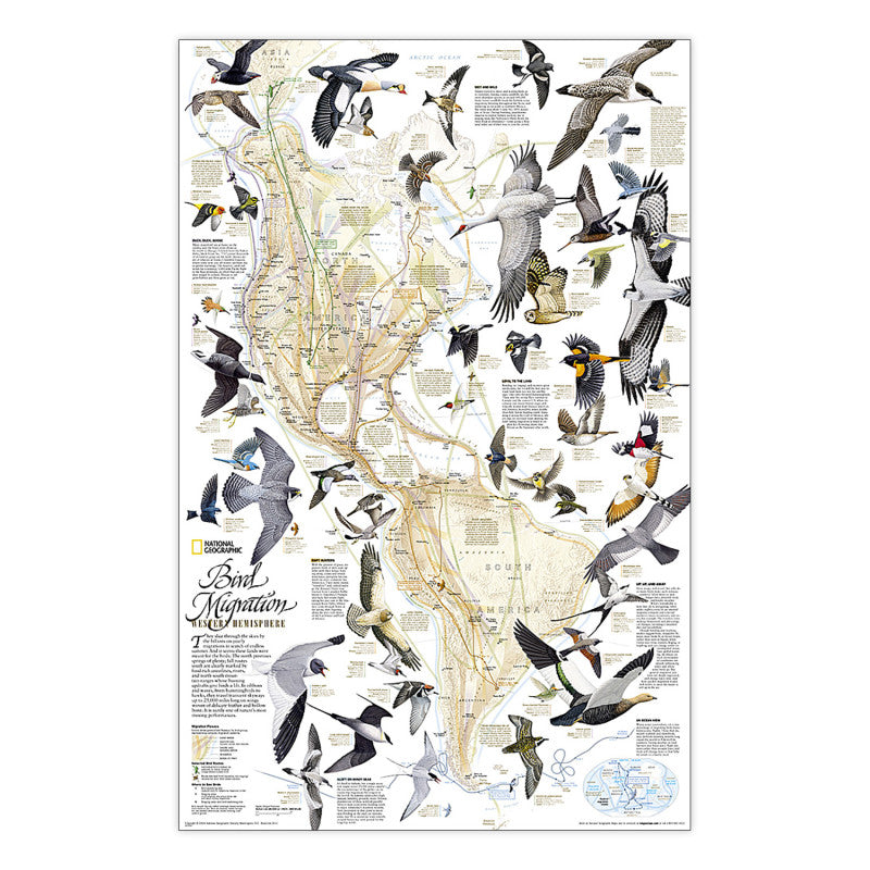 Bird Migration West Hemisphere Map