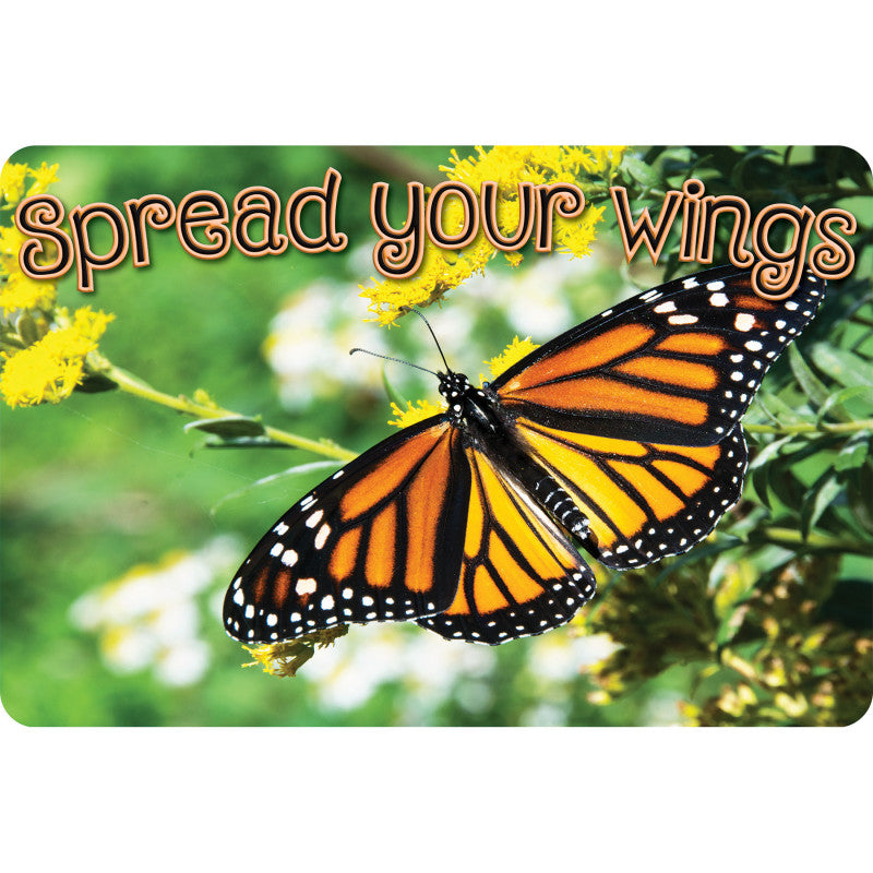 Welcome Mat 15.5X23.5 Spread Wings Butterfly (Pack of 2)