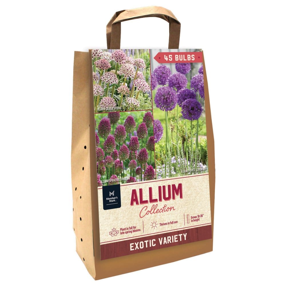 Allium Collection - Package of 45 Dormant Bulbs - Seeds & Bulbs - Allium