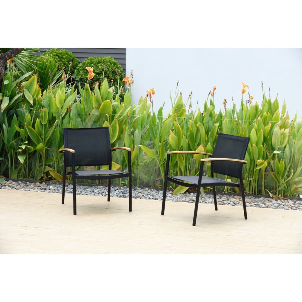 Amazonia Amazonia 2-Piece FSC Certified Wood Outdoor Patio Low Chairs - Home/Lawn & Garden/Patio Furniture/Patio Dining Chairs/ - Amazonia