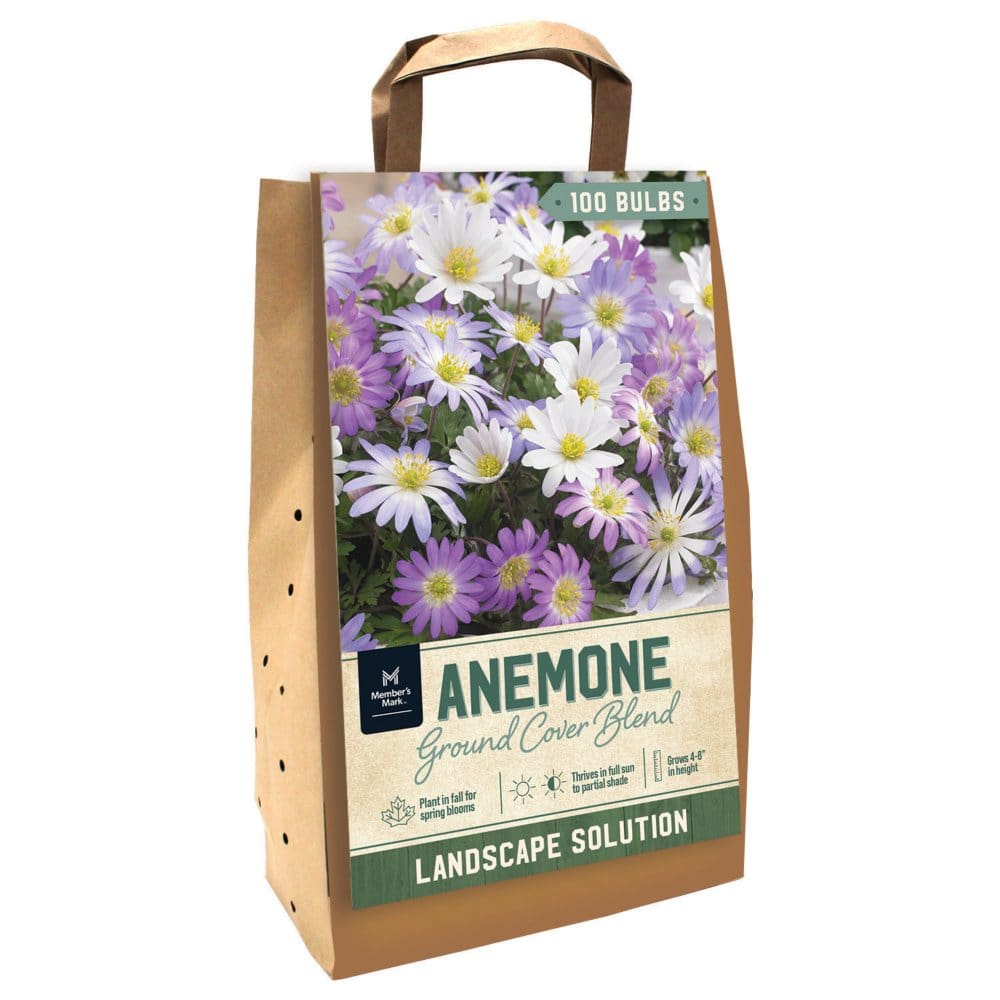 Anemone Blanda Mix - Package of 100 Dormant Bulbs - Seeds & Bulbs - Anemone