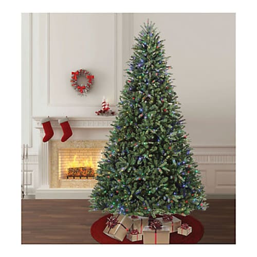 Berkley Jensen 9’ Frasier Fir One-Plug Color Changing Lighted Tree - Home/Seasonal/Holiday/Holiday Decor/Christmas Trees/ - Berkley Jensen