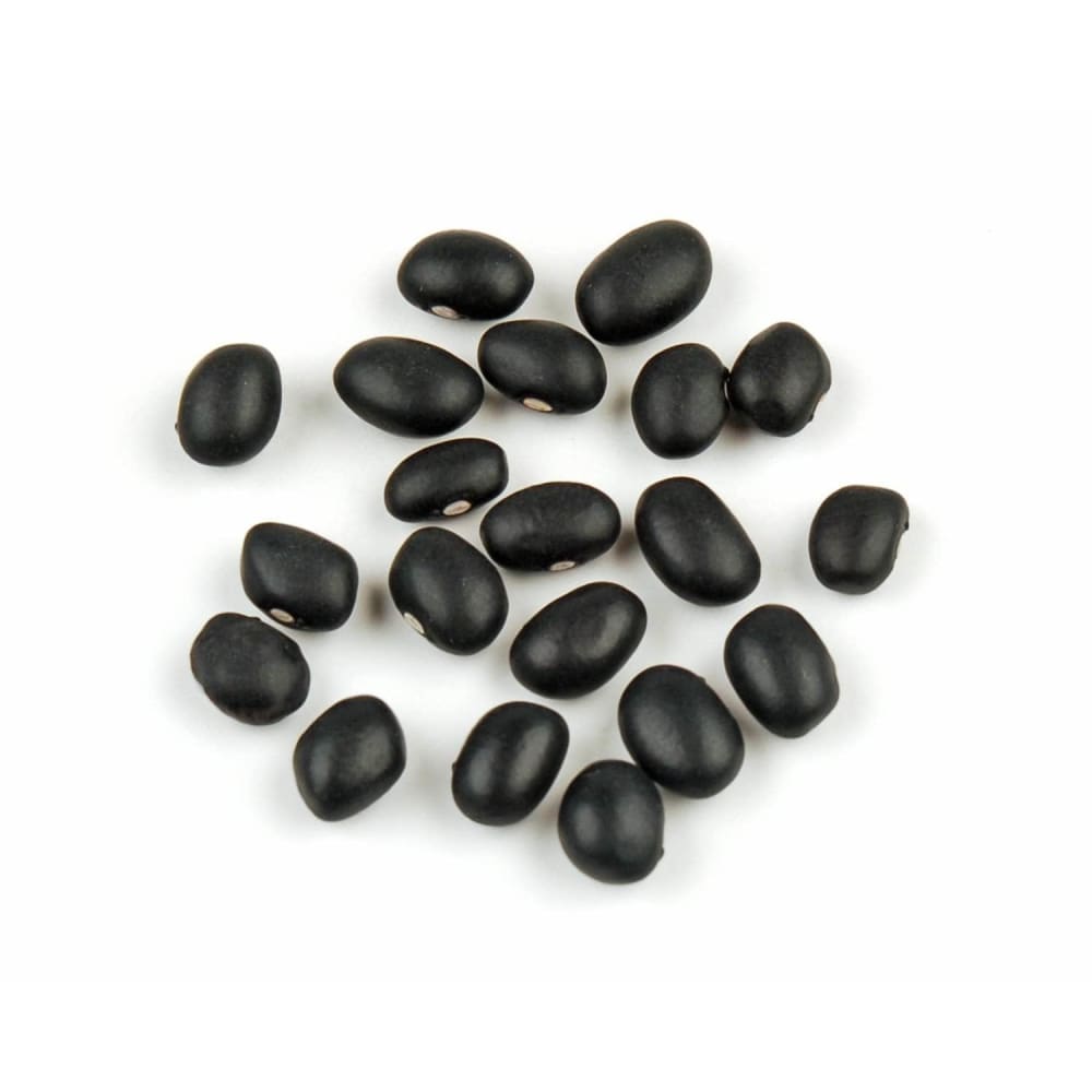 Bulk Beans Bulk Bean Black Turtle Organic, 25 lb