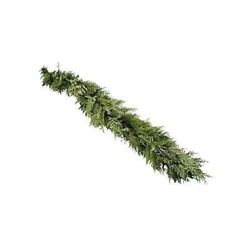 Cedar Garland 25’ - Home/Flowers/Greenery & Fillers/ - InBloom