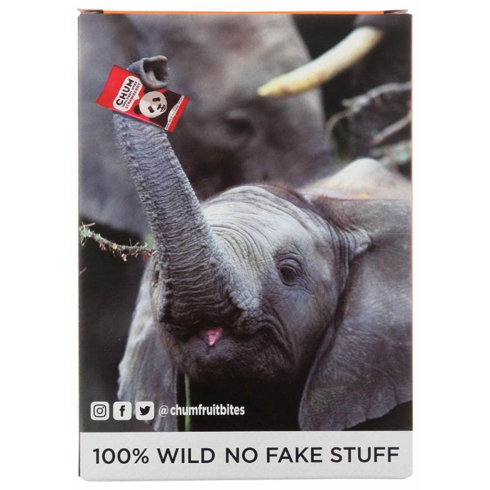 CHUM Grocery > Snacks > Fruit Snacks CHUM: Bites Fruit Peach 4Pk, 2.83 oz