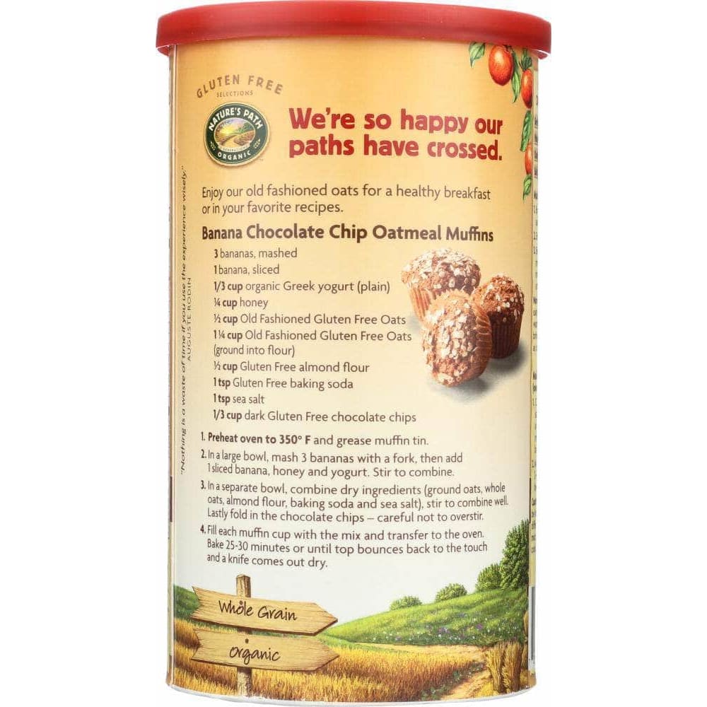 Natures Path Country Choice Organic Gluten Free Oats Old Fashioned, 18 oz