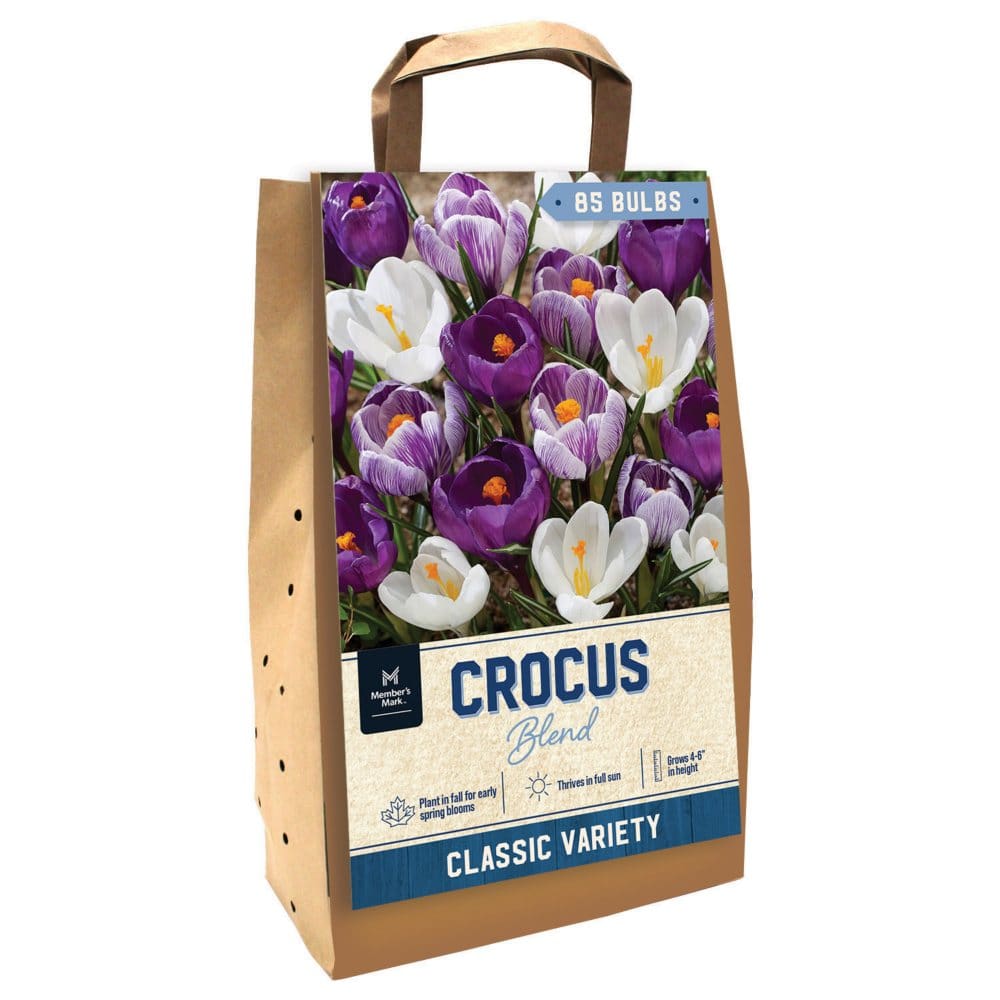 Crocus Mix - Package of 85 Dormant Bulbs - Seeds & Bulbs - Crocus