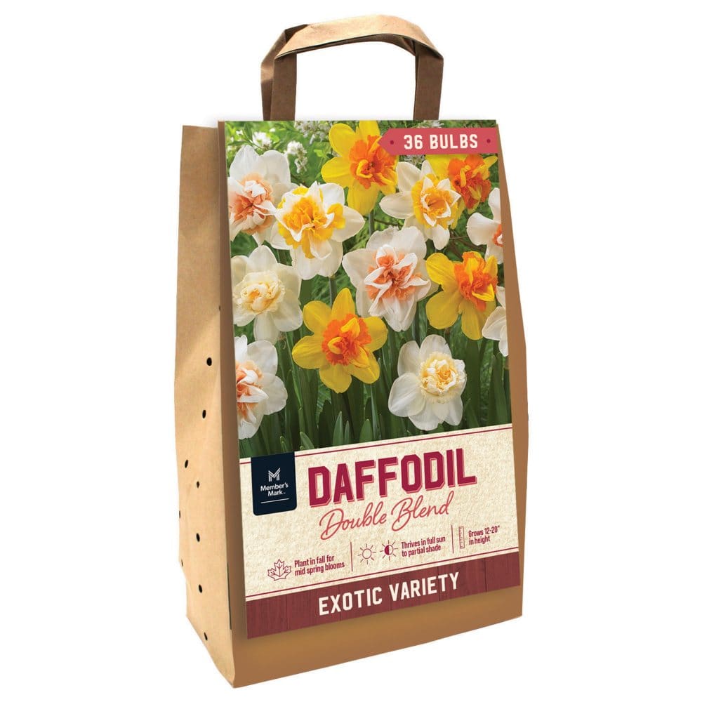 Daffodil Double Mix - Package of 36 Dormant Bulbs - Seeds & Bulbs - Daffodil