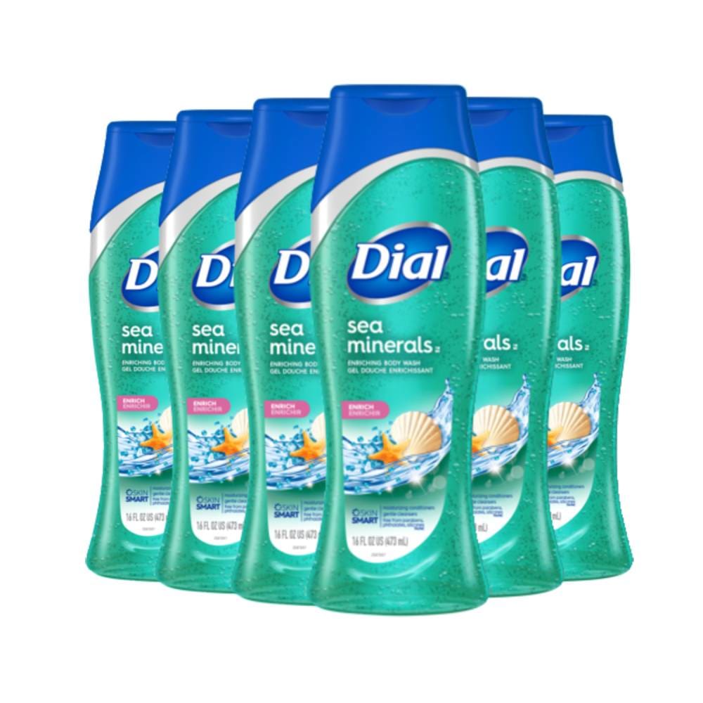 Dial Skin Therapy Enriching Body Wash Sea Minerals 16 oz - 6 Pack - Body Wash - Dial
