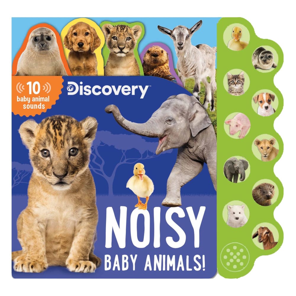 Discovery: Noisy Baby Animals! - Home/Office/Books/ - Readerlink