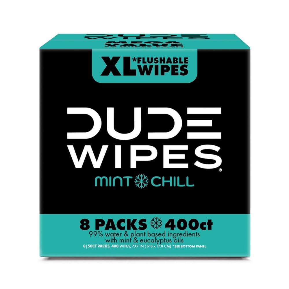 DUDE Wipes Flushable Wipes Extra Large Mint Chill Wipes (400 ct.) - Paper Goods Instant Savings - ShelHealth