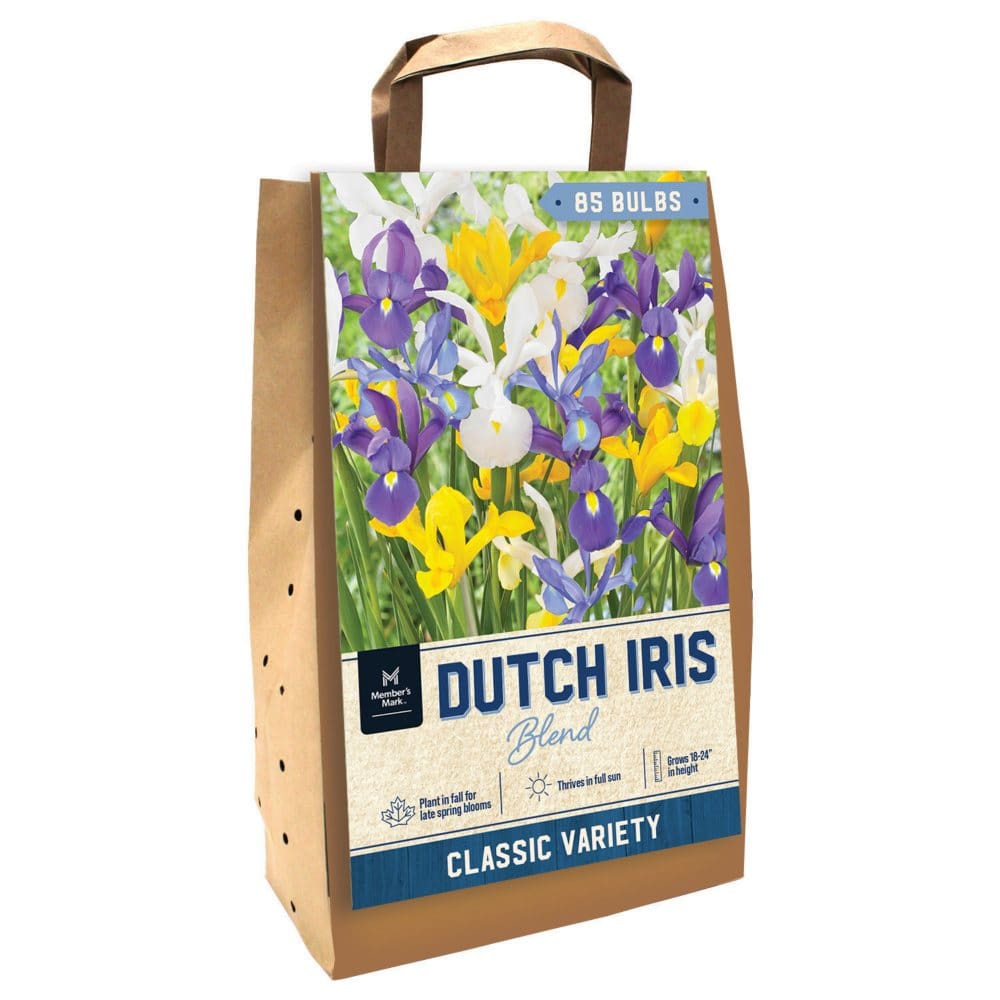 Dutch Iris Mix - Package of 85 Dormant Bulbs - Seeds & Bulbs - Dutch