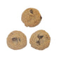 Ellison Bakery Oatmeal Raisin Mini Cookies 15lb - Snacks/Bulk Snacks - Ellison Bakery