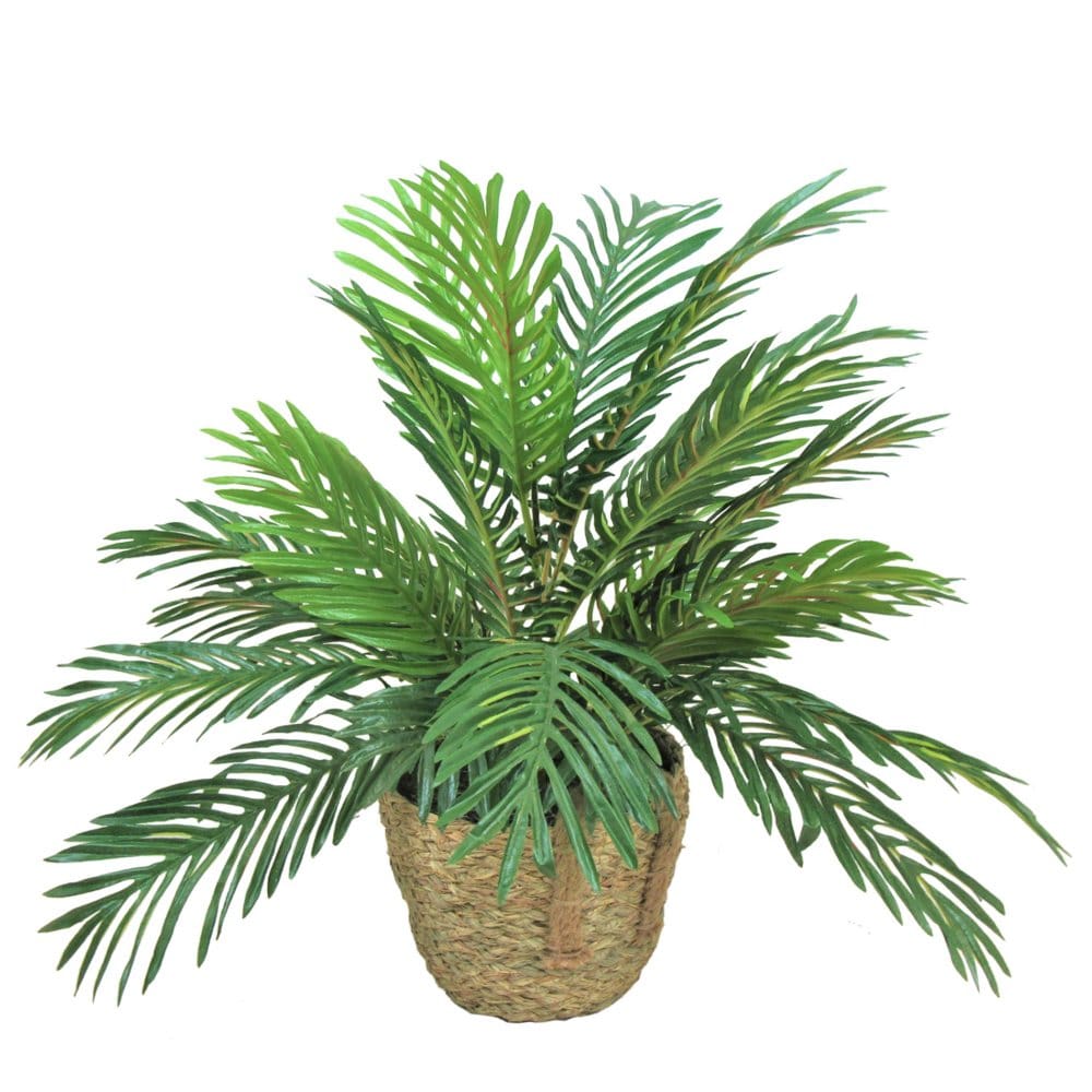 Faux 24 Phoenix Palm in Boho-Style Handled Handwoven Basket - Faux Plants - Faux