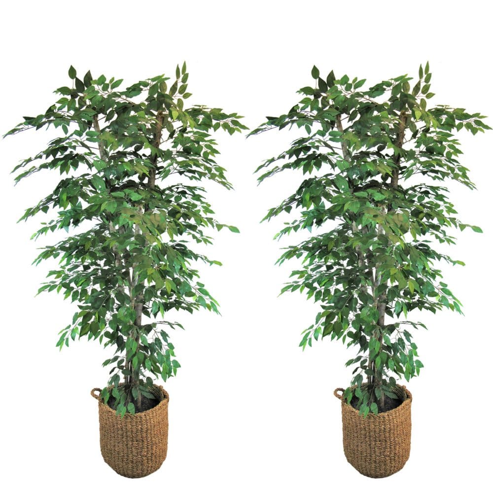Faux 7.5’ Ficus 2-Pack - Faux Plants - Faux