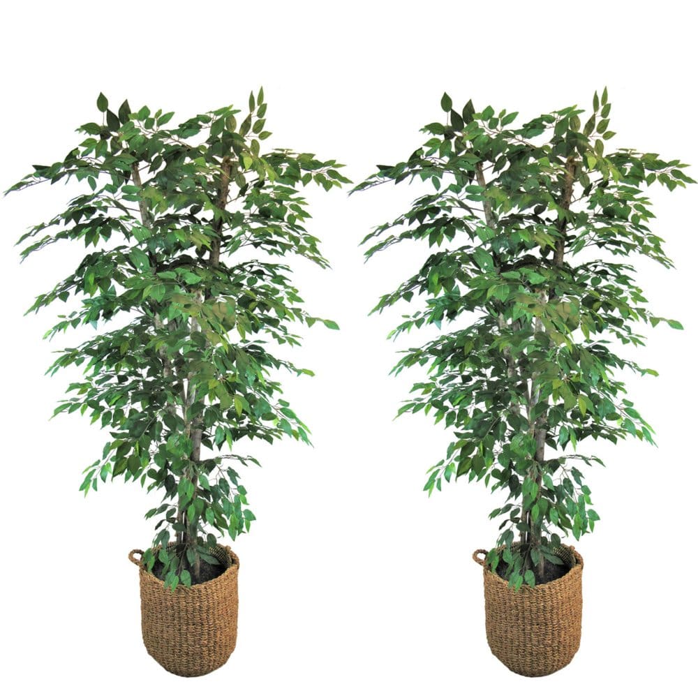 Faux 7.5’ Ficus 2-Pack - Faux Plants - Faux