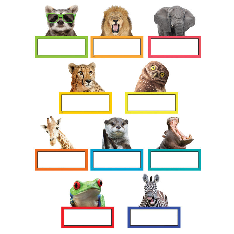 Go Wild Animals Accents (Pack of 8)