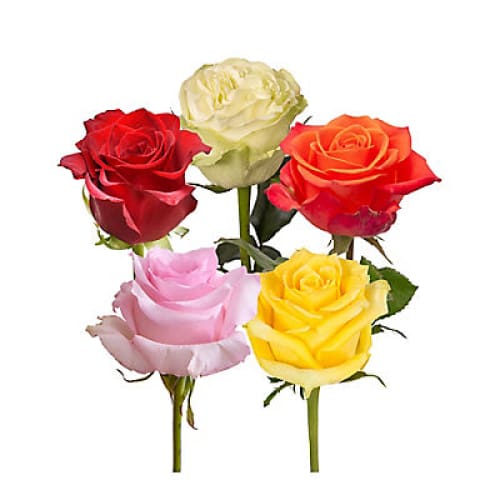 Fiesta Assorted Roses 125 Stems - Home/Flowers/Roses & Petals/ - InBloom