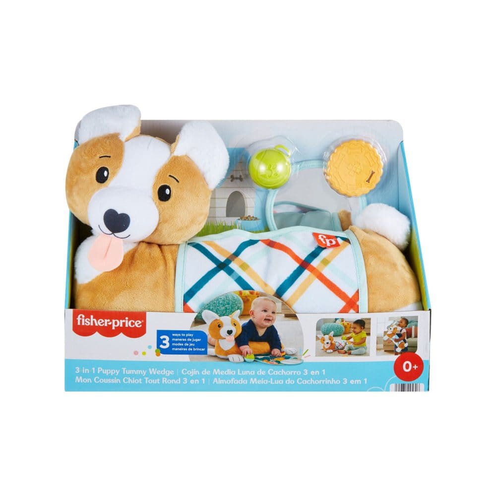 Fisher-Price Baby Tummy Time Toys 3-in-1 Puppy Wedge with Rattle Teether & Mirror - Baby Activities & Toys - Fisher-Price