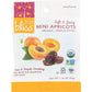 FRUIT BLISS Fruit Bliss Organic Turkish Mini Apricots, 1.76 Oz