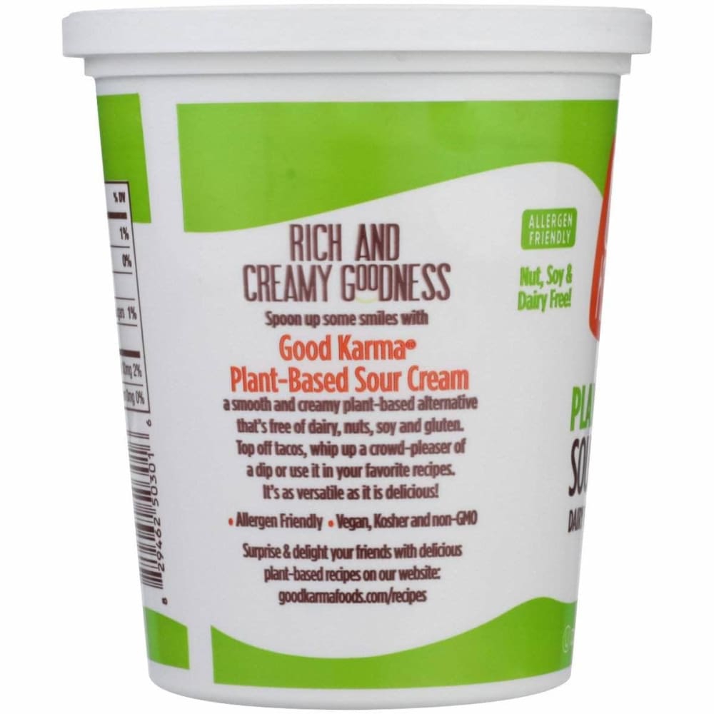 Good Karma Good Karma Plant-Based Sour Cream Dip, 16 oz