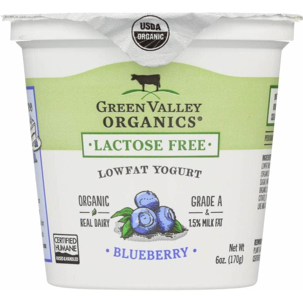 Green Valley Creamery Green Valley Organics Yogurt Low Fat Lactose Free Blueberry, 6 oz