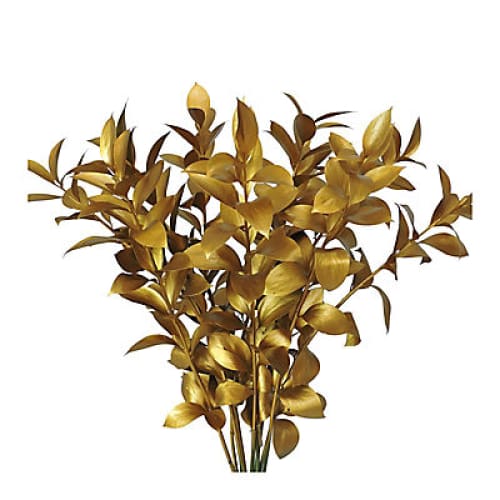 Hand-Painted Ruscus 120 Stems - Gold - Home/Flowers/Greenery & Fillers/ - InBloom