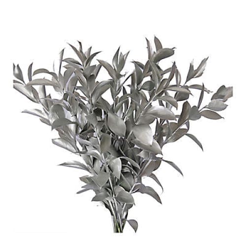 Hand-Painted Ruscus 120 Stems - Silver - Home/Flowers/Greenery & Fillers/ - InBloom