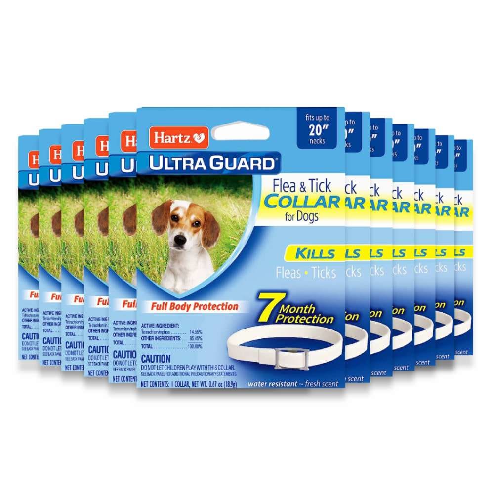 Hartz UltraGuard Flea & Tick Dogs and Puppies Collar - 12 Pack - Hartz