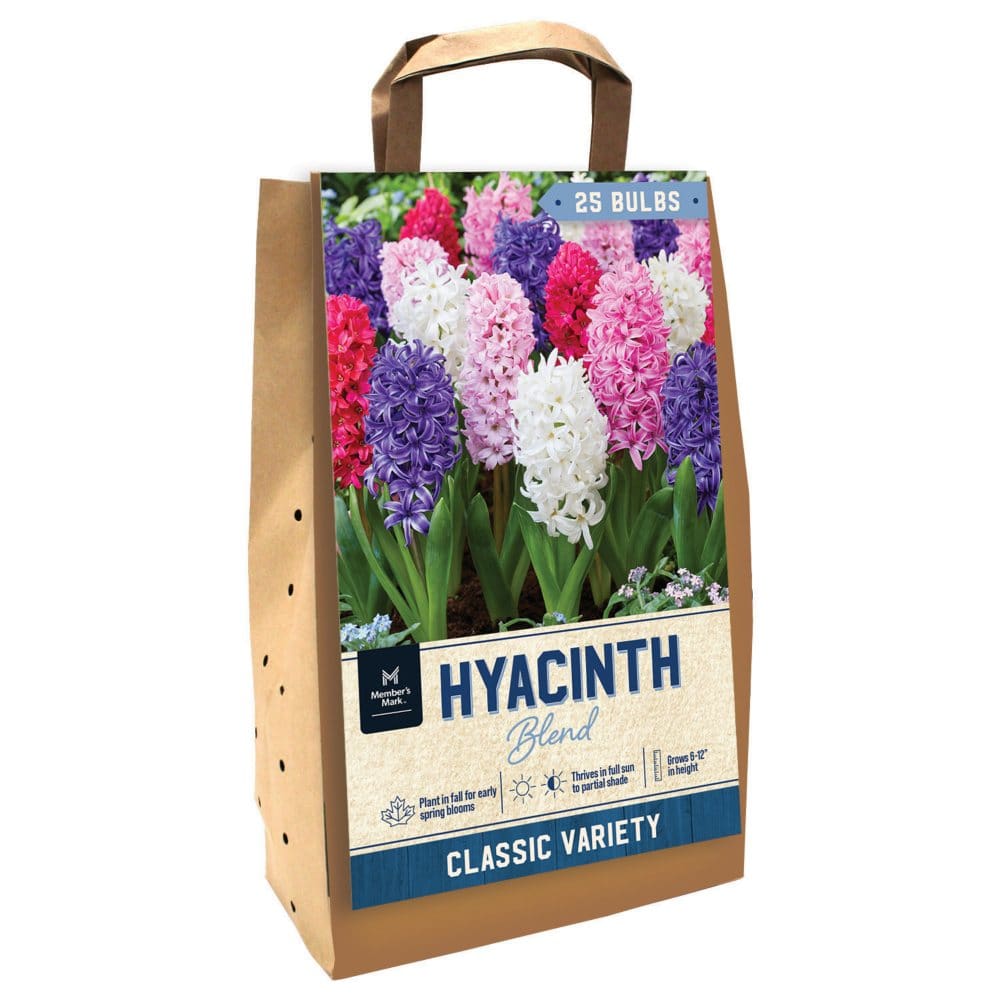 Hyacinth Mix - Package of 25 Dormant Bulbs - Seeds & Bulbs - Hyacinth