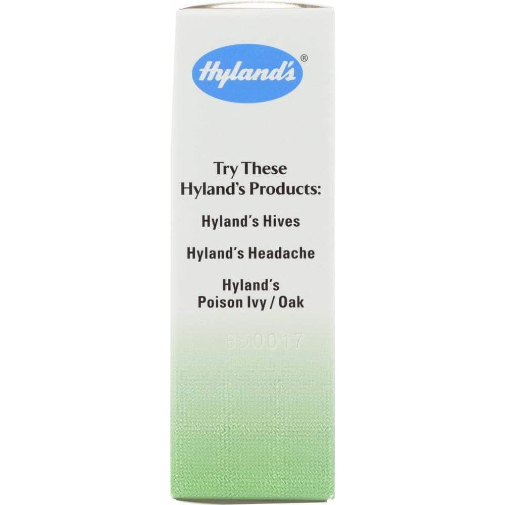 Hylands Hyland Hemorrhoids, 100 tb