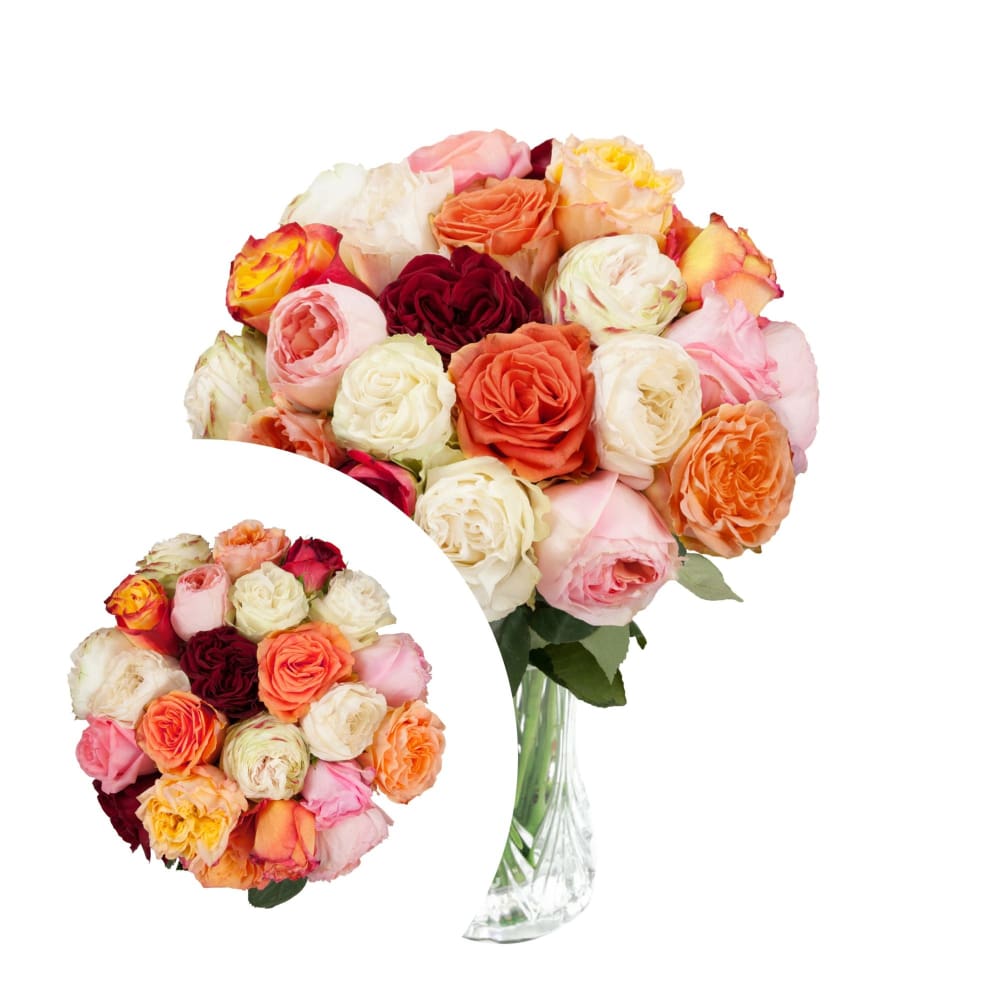 InBloom Color Wonders Garden Rose Bouquet 24 pc. - InBloom