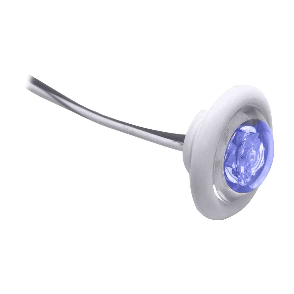 Innovative Lighting LED Bulkhead/ Livewell Light The Shortie Blue LED w/ White Grommet (Pack of 2) - Lighting | Interior / Courtesy Light -