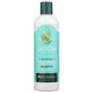 JASON: Purifying Tea Tree Shampoo 12 oz - Beauty & Body Care > Hair Care > Shampoo & Shampoo Combinations - JASON