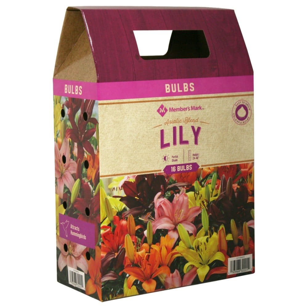 Member’s Mark Lily - Asiatic Blend Bulbs - Plants - Member’s