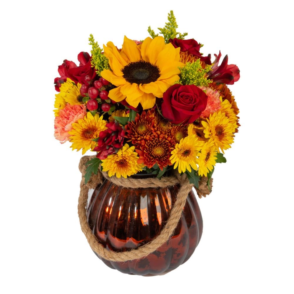 Member’s Mark Thanksgiving Pumpkin Vase Rusted Orange - Vase Arrangements - ShelHealth