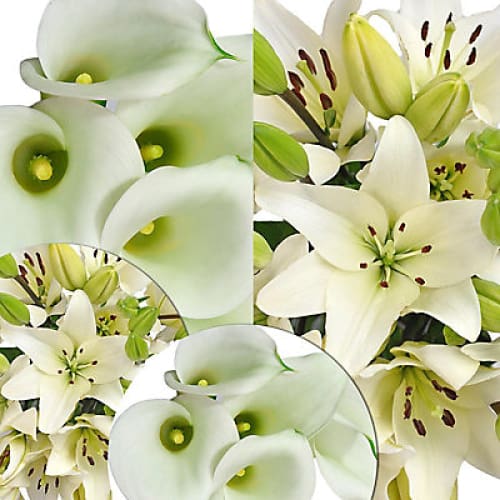 Mini Callas and Asiatic Lilies Combo Box 50/30 ct. - White - Home/ - InBloom