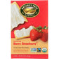 Natures Path Nature's Path Organic Toaster Pastries Berry Strawberry Frosted, 11 oz