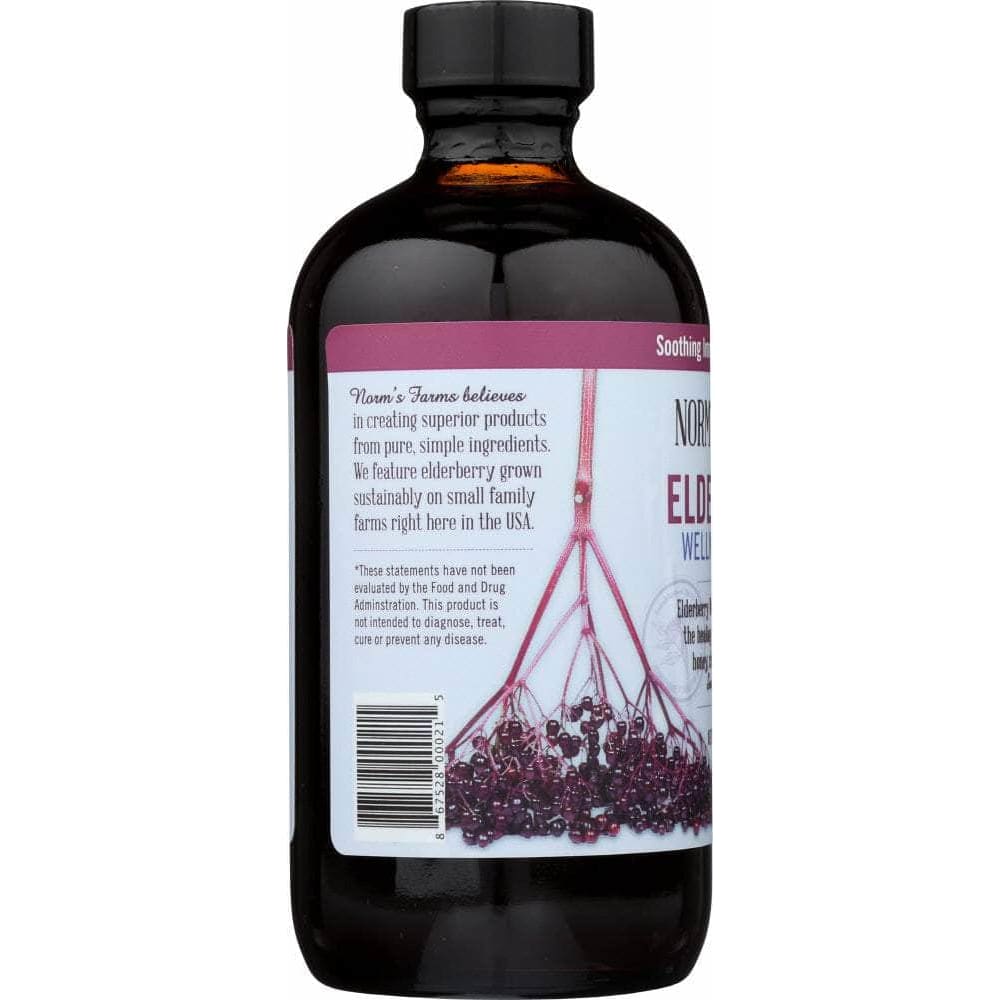 Norms Farms Norms Farms Syrup Elderberry Wellness, 8 fl. oz.