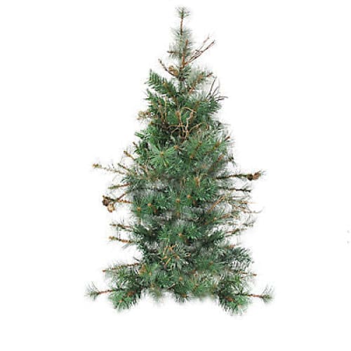 Northlight 36 Green Country Mixed Pine Artificial Christmas Teardrop Swag - Unlit - Home/Seasonal/Holiday/Holiday Decor/Wreaths & Garland/ -