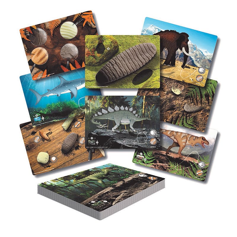 Prehistoric Teeth Explore & Discovr Activity Cards - Animal Studies - Yellow Door Us LLC