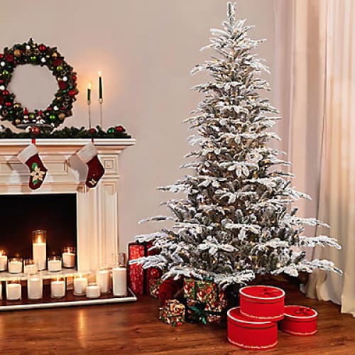 Puleo International 7.5’ Pre-Lit Arctic Fir Flocked Christmas Tree. - Home/Seasonal/Holiday/Holiday Decor/Christmas Trees/ - ShelHealth