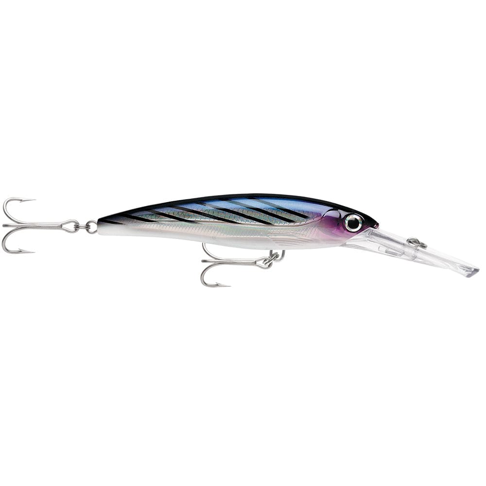 Rapala X-Rap® Magnum® 20 Bonito - Hunting & Fishing | Hard & Soft Baits - Rapala