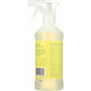 Rebel Green Rebel Green Spray All Purpose Peppermint Lemon, 16 oz