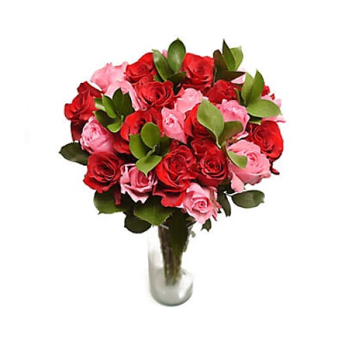 Red & Pink Rose Bouquet 24 Stems - Home/Flowers/Roses & Petals/ - InBloom