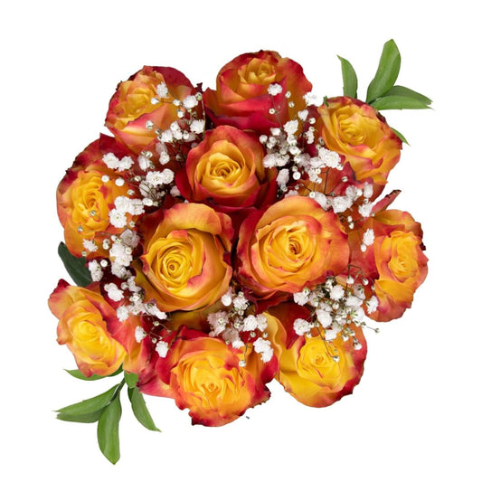 InBloom Rose Bouquets - Assorted Bi-Color - Home/Home/Flowers & Plants/Roses/ - InBloom
