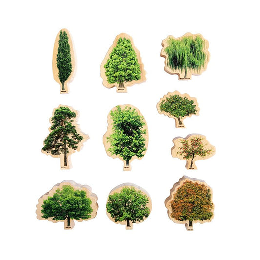 Seasons Wooden Trees - Pretend & Play - Learning Advantage