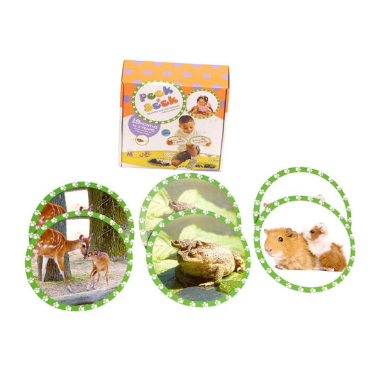 Seek & Peek Mommy & Me Memory Match - Games - Mojo Education