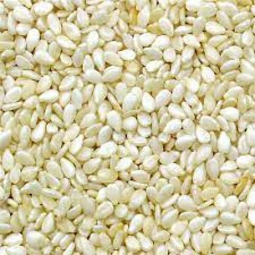 Sesame seeds (Testing Product - Don’t Purchase it) (Pack of 6) - Seeds - ShelHealth